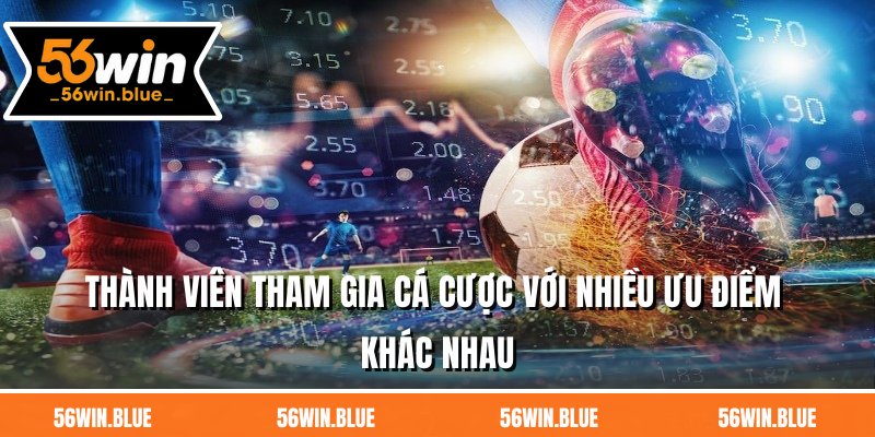 Thành viên tham gia cá cược với nhiều ưu điểm khác nhau