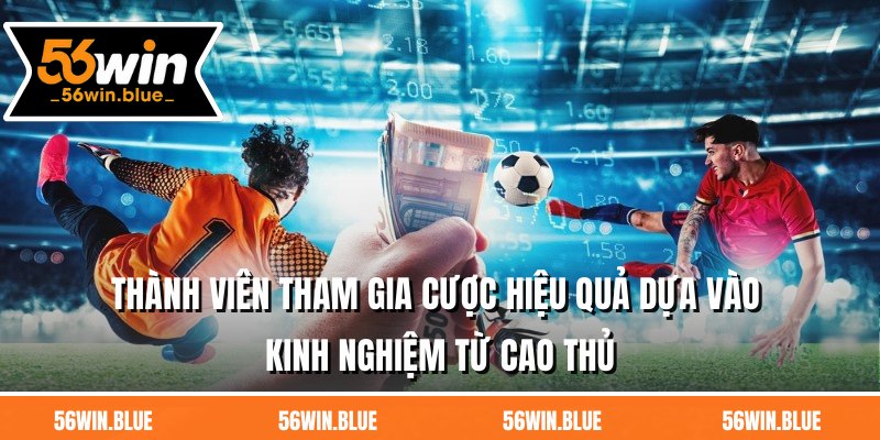 Thành viên tham gia cược hiệu quả dựa vào kinh nghiệm từ cao thủ